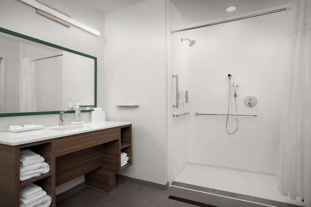 Suite, 1 King Bed (Roll-In Shower) - Photo 7