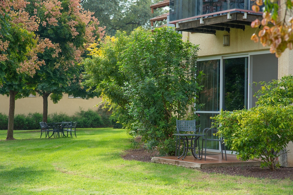 Classic Room, Terrace, Garden Area photo 3
