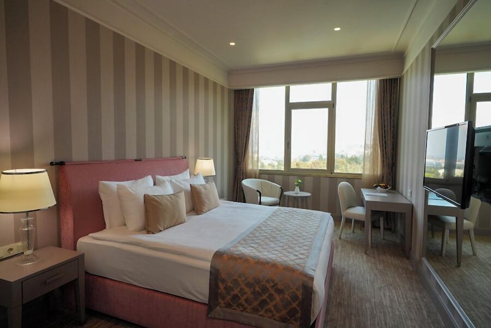 Executive Room - Photo 5