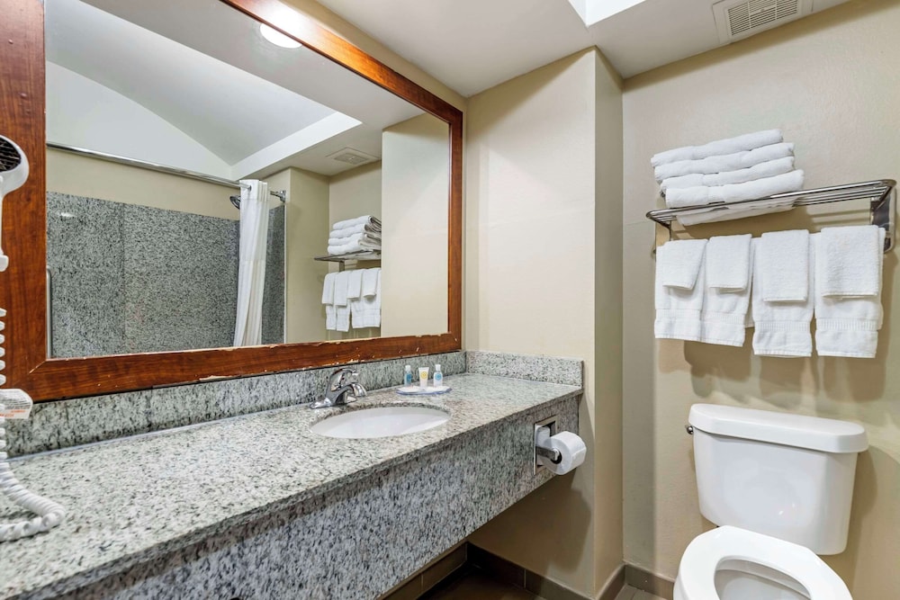 Standard Studio Suite, Multiple Beds, Non Smoking photo 2