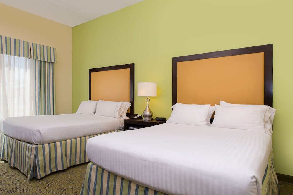 Suite, 1 Bedroom - Photo 4