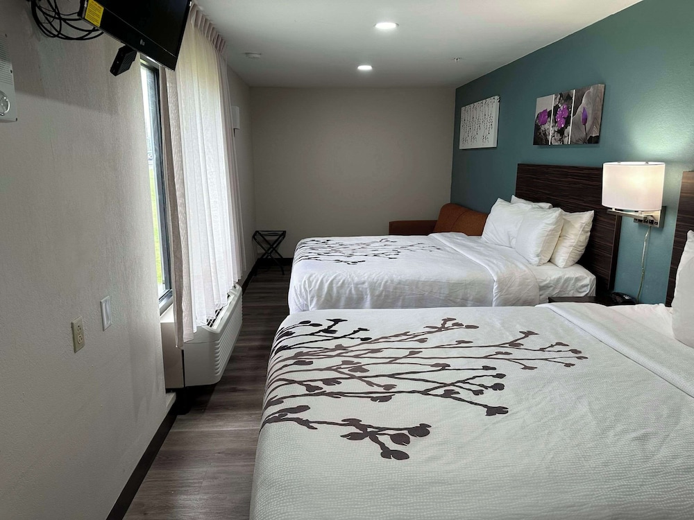 Suite, Multiple Beds, Hearing Accessible, Non Smoking (Efficiency) - Photo 6