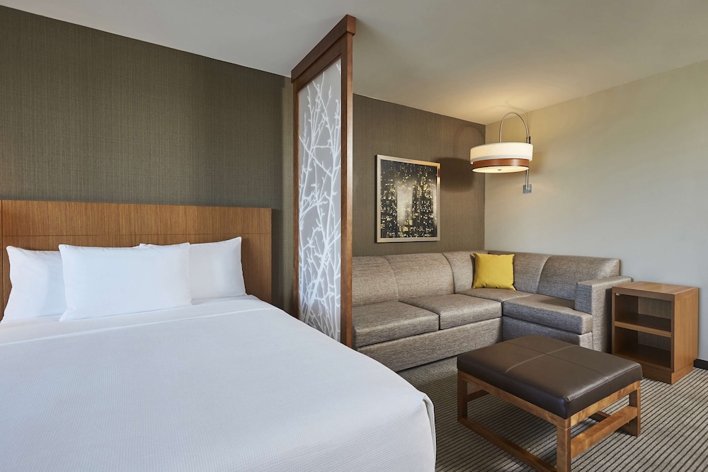 Room, Accessible (King Bed/Roll-in Shower plus Sofa Bed) thumbnail 5