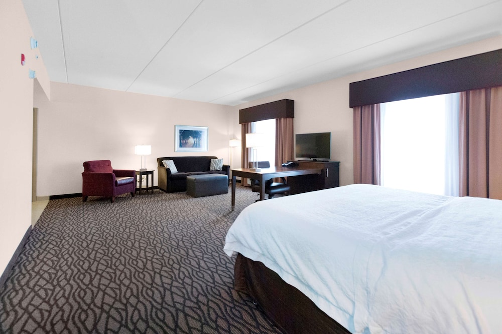 Suite, 1 King Bed, Non Smoking