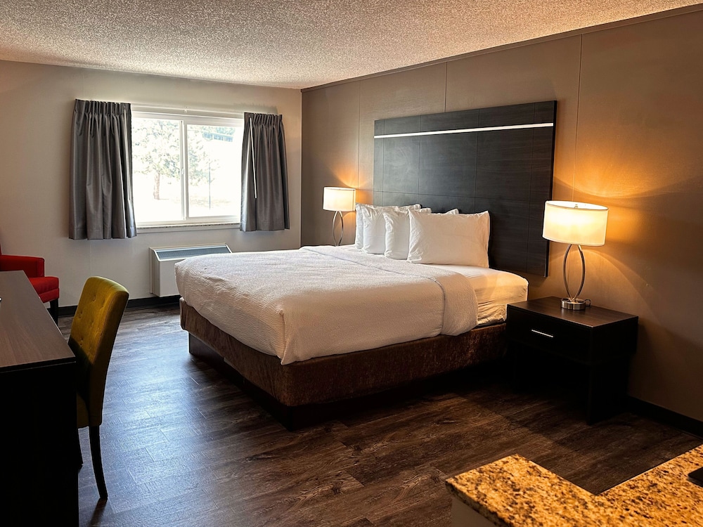 Standard Single Room, 1 King Bed, Refrigerator & Microwave