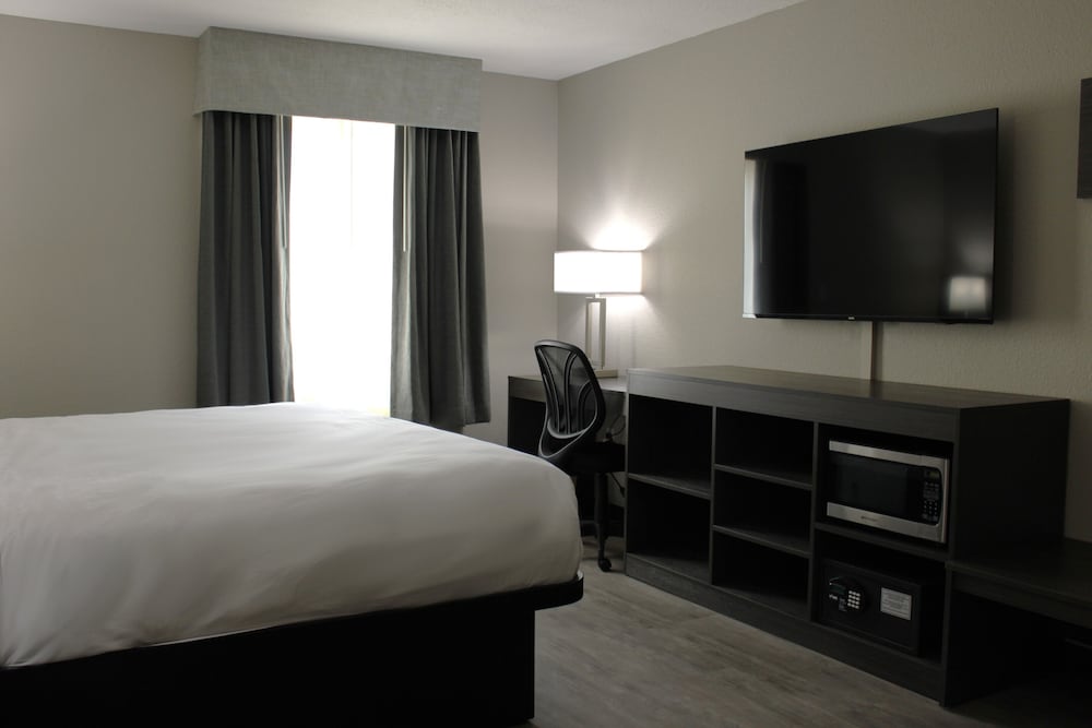 Single Room, 1 King Bed, Accessible, Non Smoking (Guestroom) - Photo 2