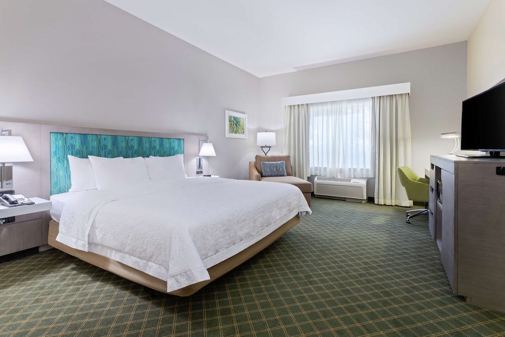 Room, 1 King Bed, Accessible, Bathtub (Mobility & Hearing)