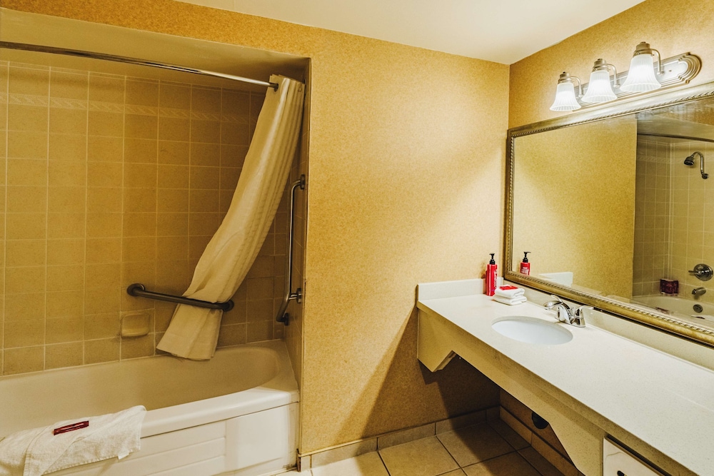 Standard Room, 1 King Bed, Accessible, Refrigerator & Microwave - Photo 5
