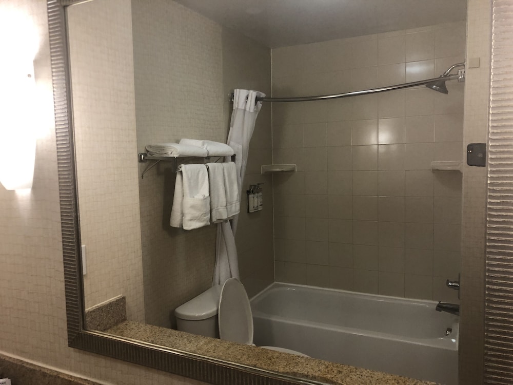 Suite, 1 King Bed, Accessible (Communications,Additional Living Area) - Photo 11