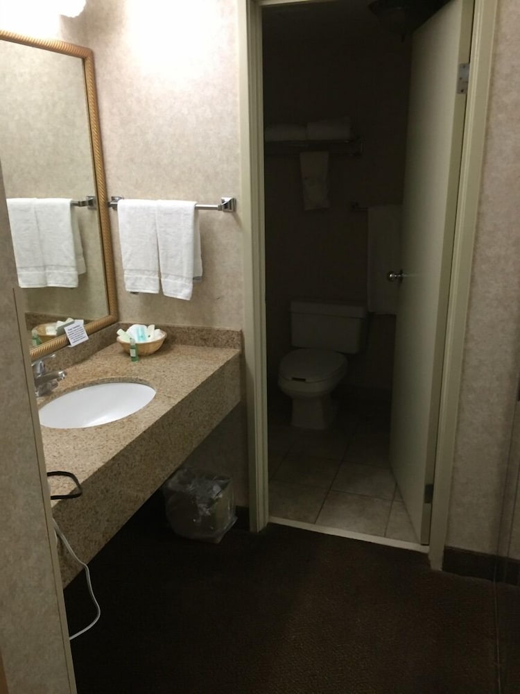 Standard Room, 1 King Bed, Non Smoking, Poolside (First Floor) - Photo 2