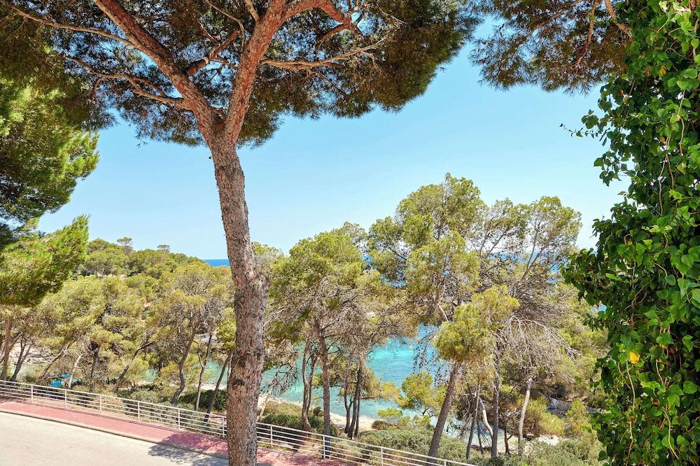Junior Suite, Sea View thumbnail 5