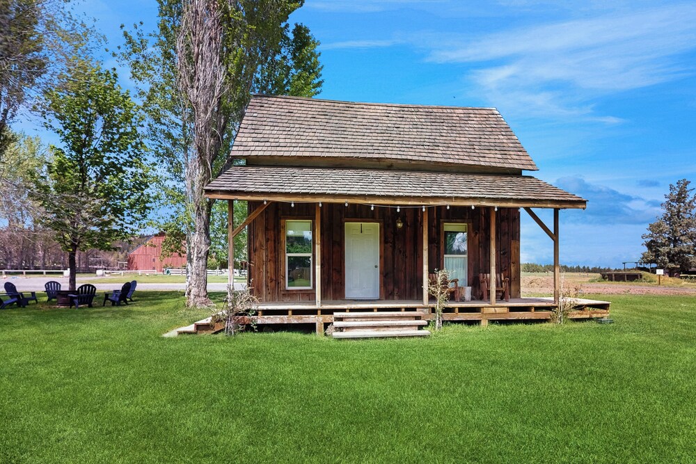 House (1 Bedroom) photo 1