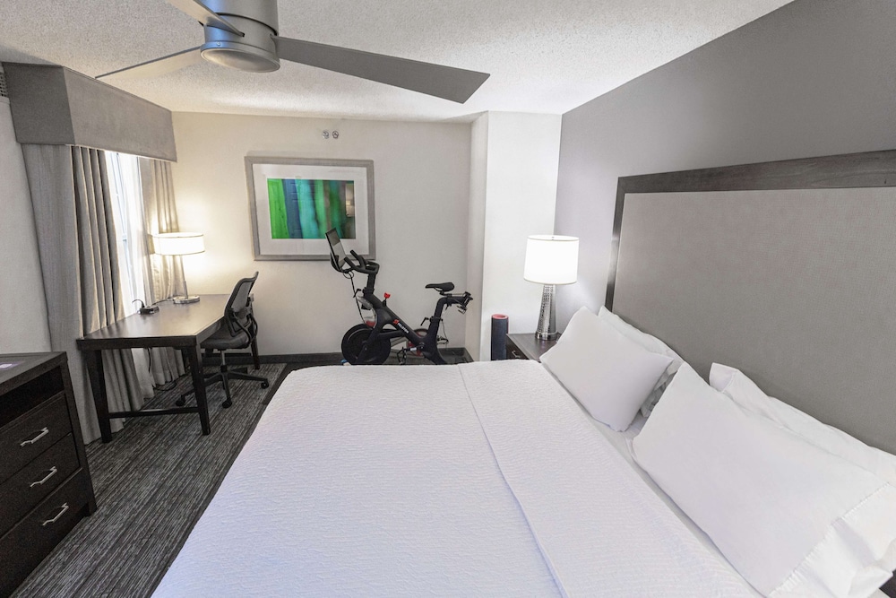 Suite, 1 King Bed (Peloton Bike) photo 1