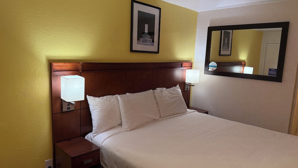Signature Room, 1 King Bed, Non Smoking photo 3