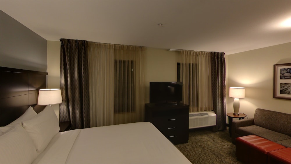 Studio Suite, 1 Queen Bed (Mobility, Bathtub) photo 3