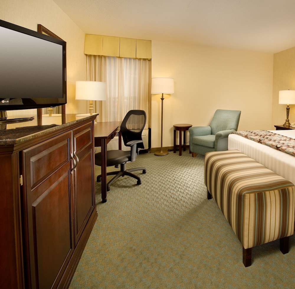 Suite, 1 King Bed With Sofa Bed, Refrigerator & Microwave (Upper Floor, 2 Rooms, Sofabed)