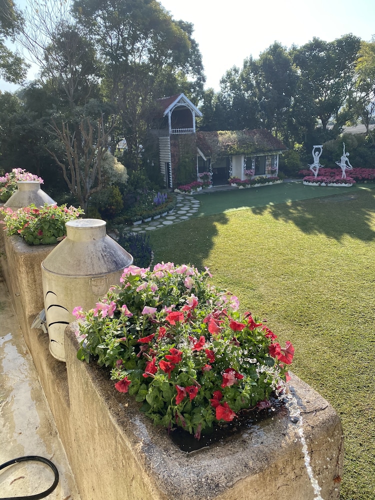 Gallery Double Room, 1 Queen Bed, Courtyard View, Garden Area photo 2