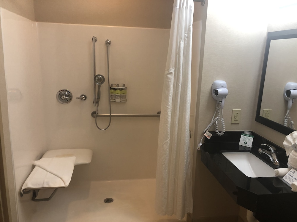 Standard Room, 1 King Bed, Accessible (Mobility, Roll-In Shower) - Photo 2