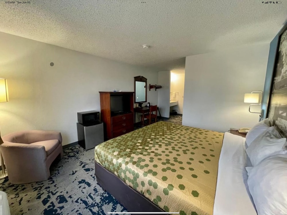 Basic Single Room photo 2