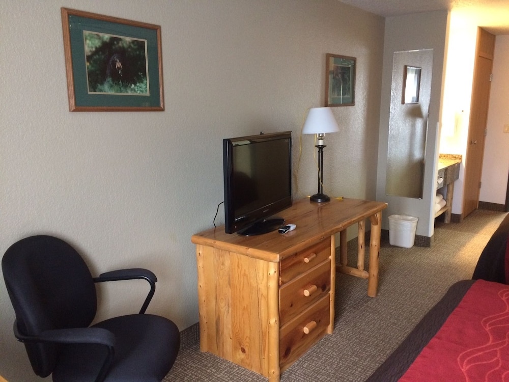 Standard Room, 2 Queen Beds, Refrigerator, Mountain View photo 2