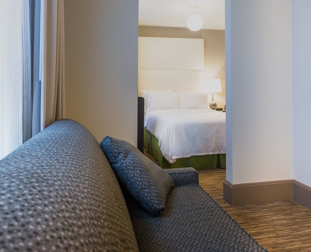 Suite, 1 King Bed with Sofa bed