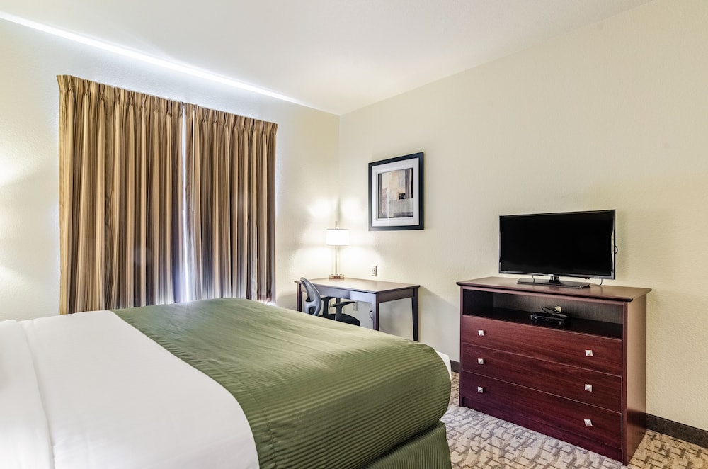 Room, 1 King Bed, Non Smoking photo 2
