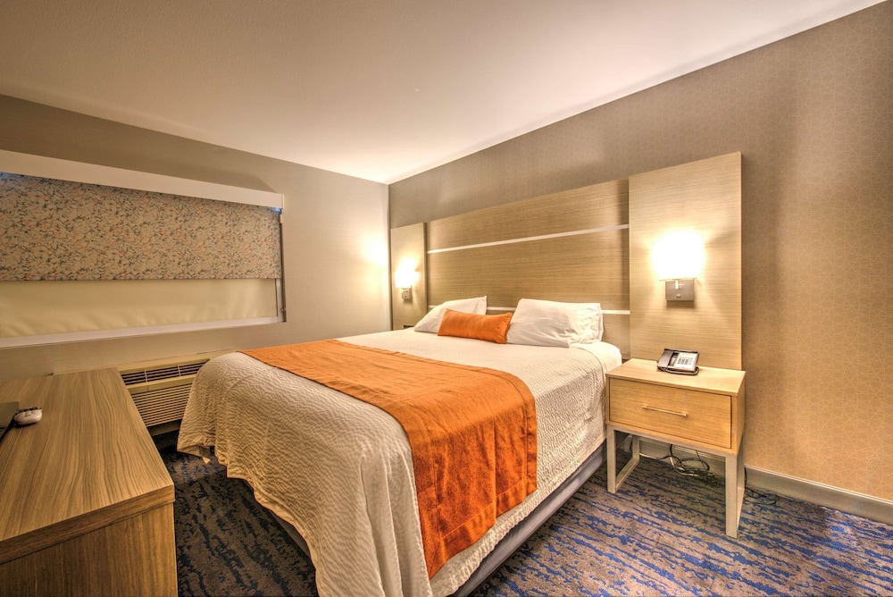 Suite, Multiple Beds, Non Smoking, Refrigerator & Microwave (with Sofabed) photo 1