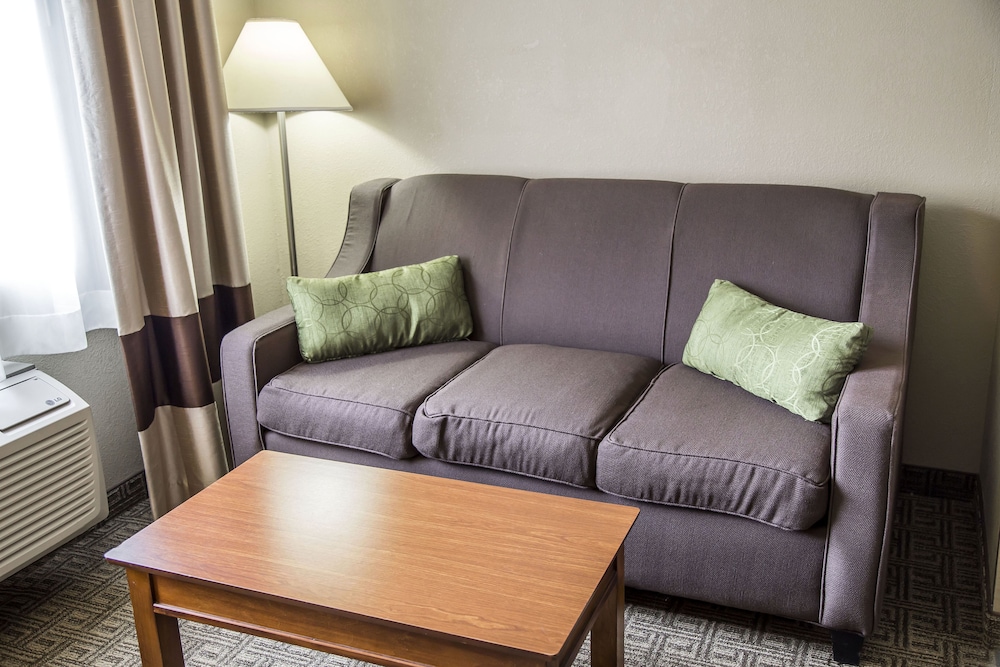 Standard Room, 1 King Bed with Sofa bed photo 3