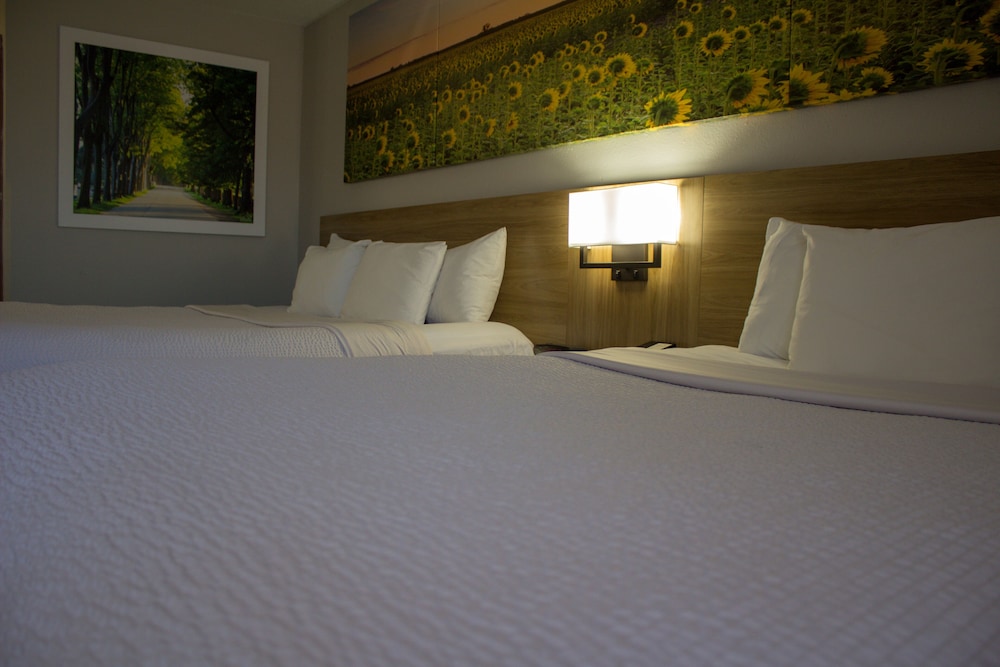Suite, Non Smoking (king bed) - Photo 6