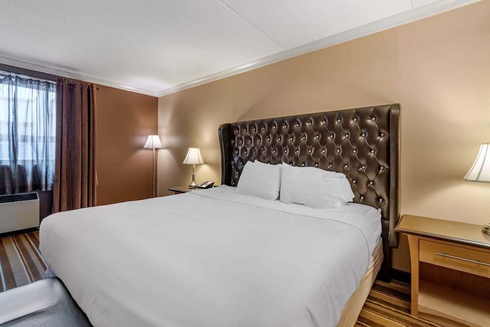 Suite, 1 King Bed, Non Smoking, Refrigerator & Microwave (with Sofabed) photo 1