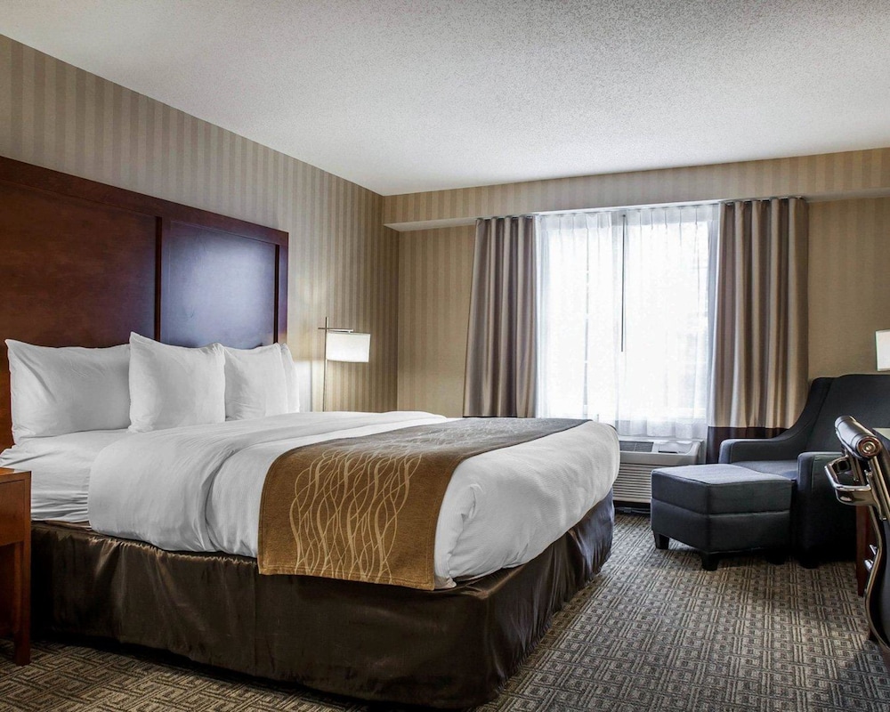 Comfort Inn & Suites Sturbridge-Brimfield, Billede 2