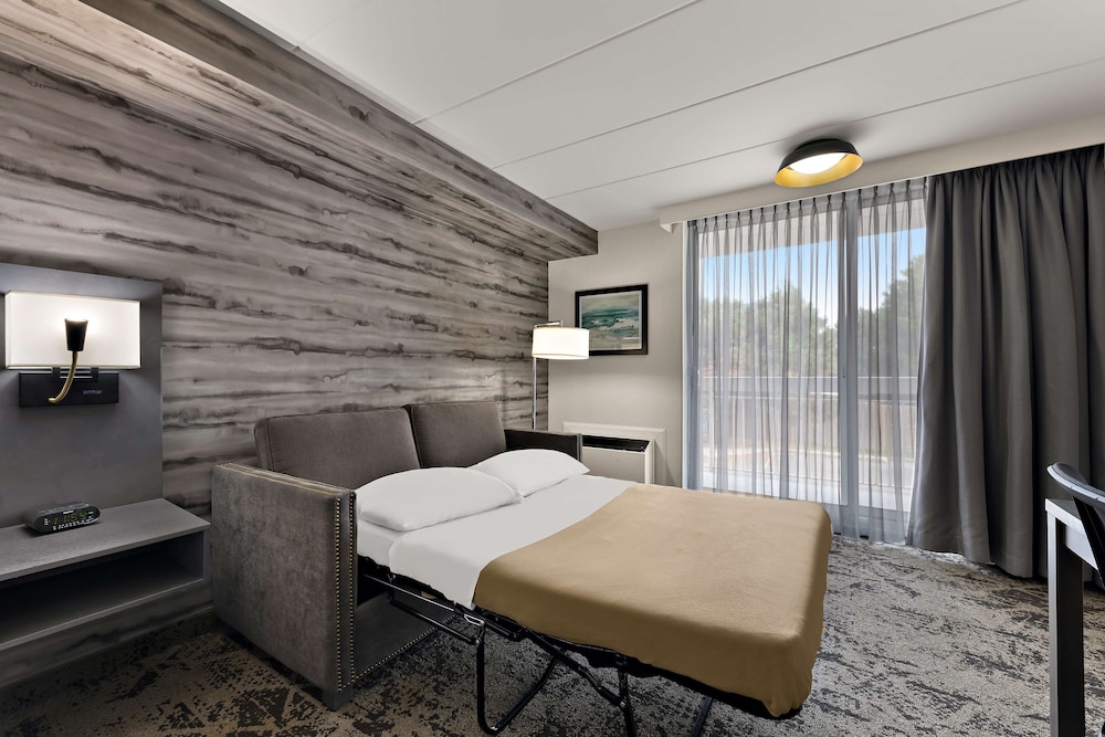 Standard Room, 1 King Bed, Non Smoking, Balcony (Walk-in Shower;with Single Sofabed) - Photo 6