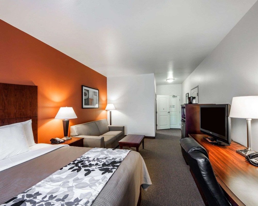 Suite, 1 King Bed with Sofa bed, Non Smoking - Photo 3