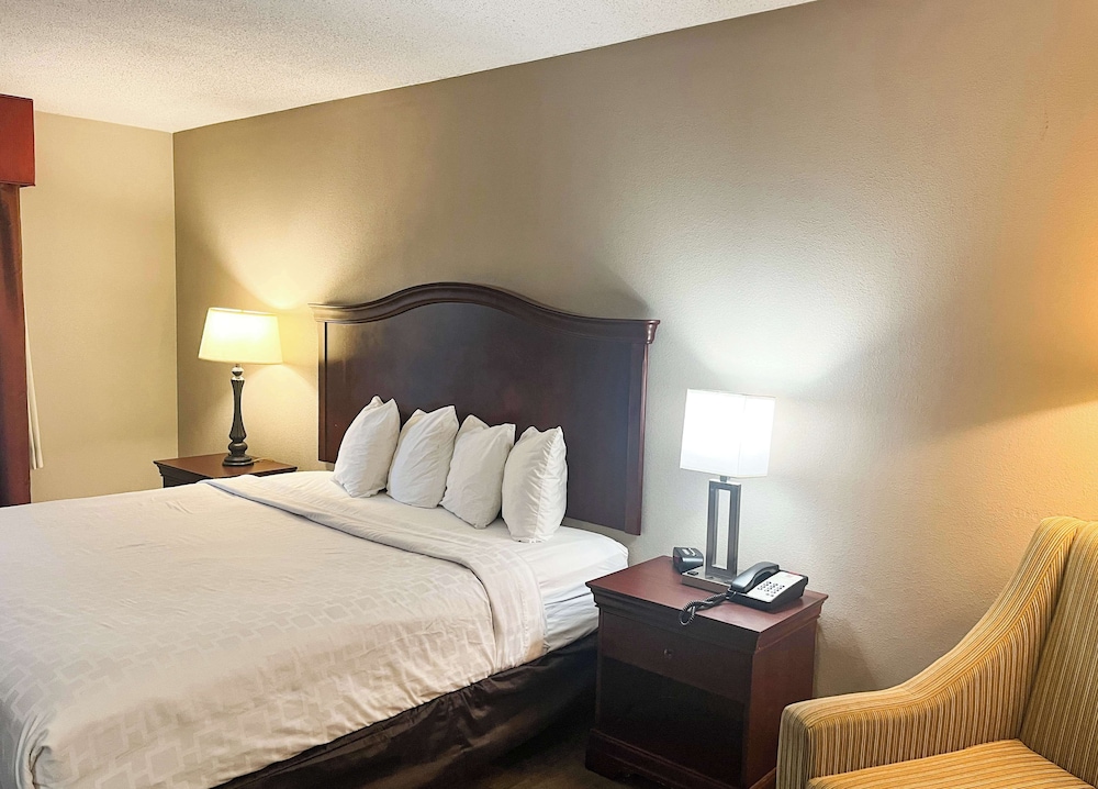 Deluxe Room, 1 King Bed, Smoking, Refrigerator & Microwave photo 3