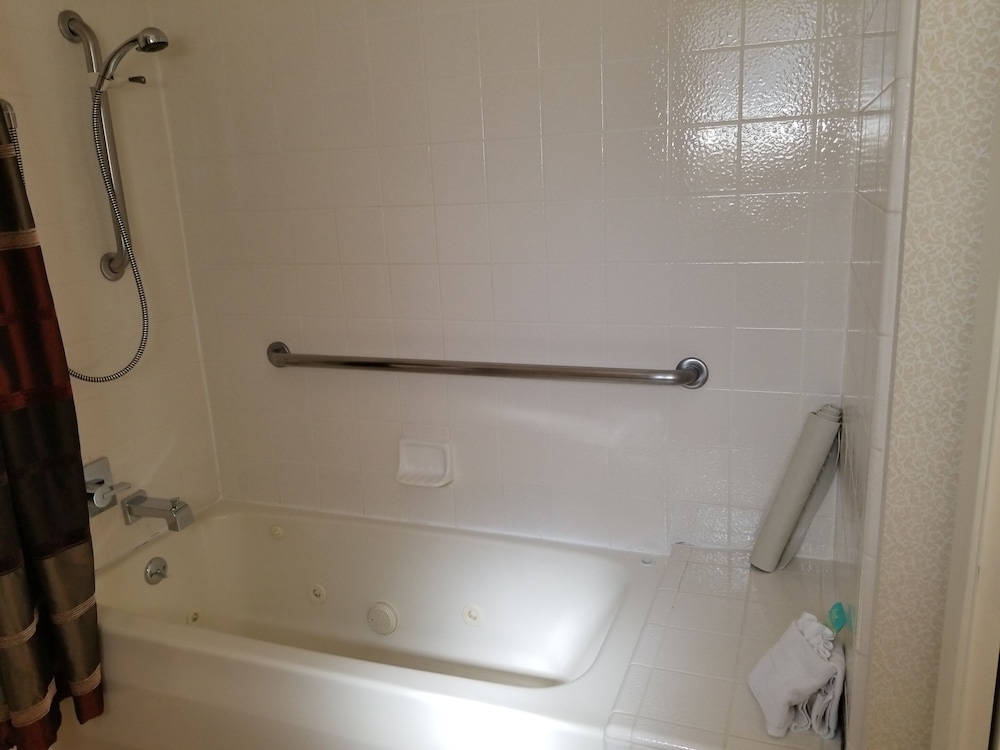 Studio, 1 King Bed, Accessible (King Studio ADA) - Photo 8