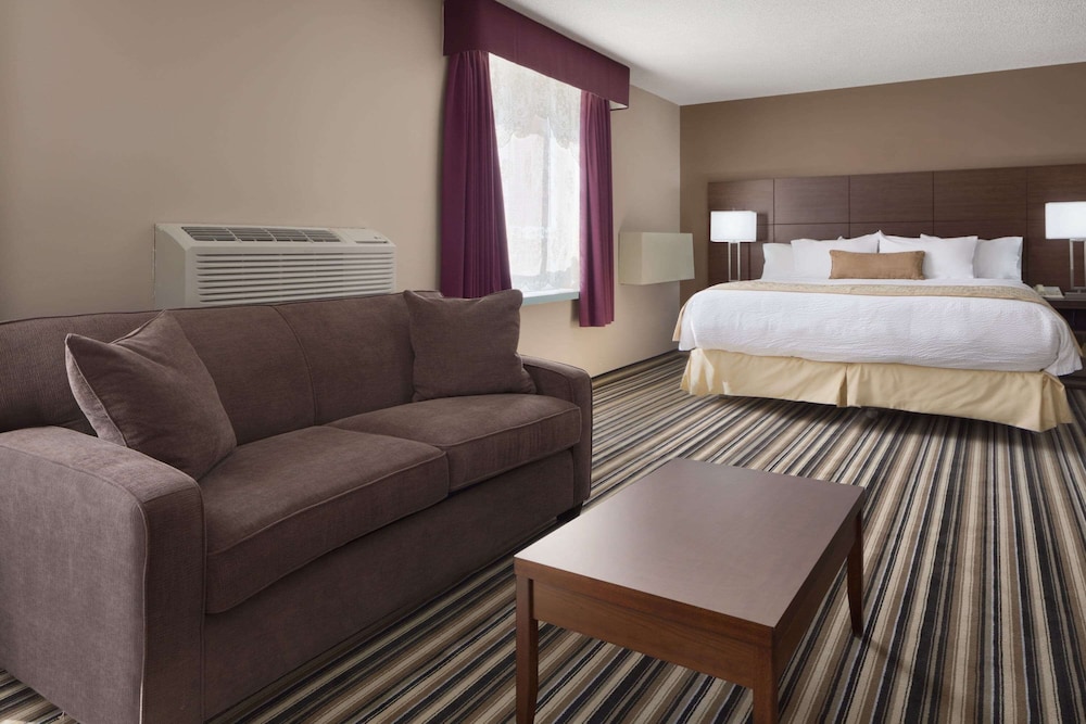 Room, 1 King Bed, Refrigerator