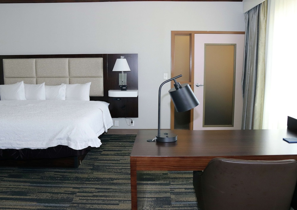 Suite, 1 King Bed, Non Smoking - Photo 1