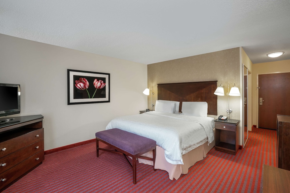 Classic Room, 1 King Bed, Accessible, Bathtub (Mobility/Hearing Accessible) - Photo 2
