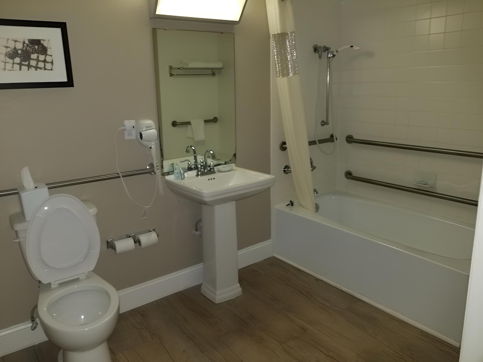 Room, 1 King Bed, Accessible photo 2