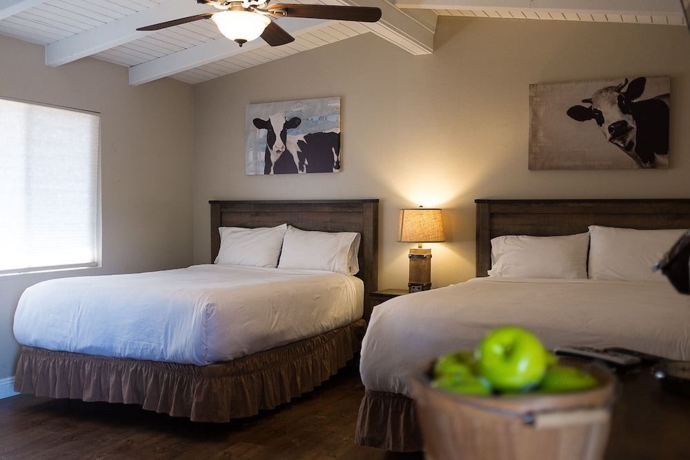 Deluxe Double Room, 2 Queen Beds, Kitchenette photo 2