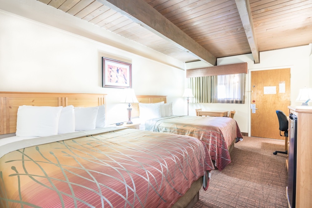 Single Room, 2 Queen Beds photo 3