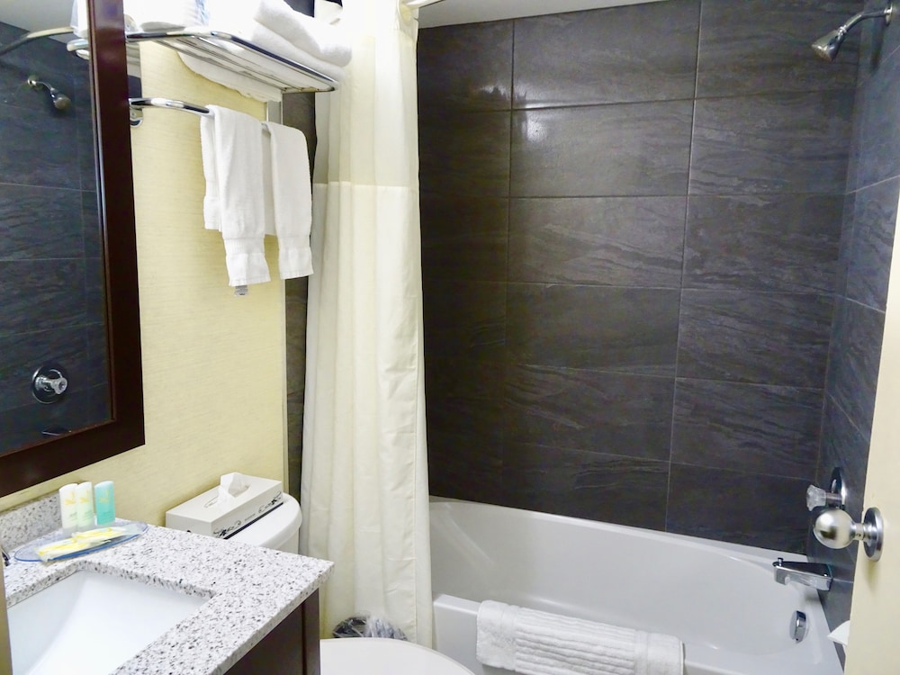 Standard Room, 1 King Bed, Non Smoking - Photo 7