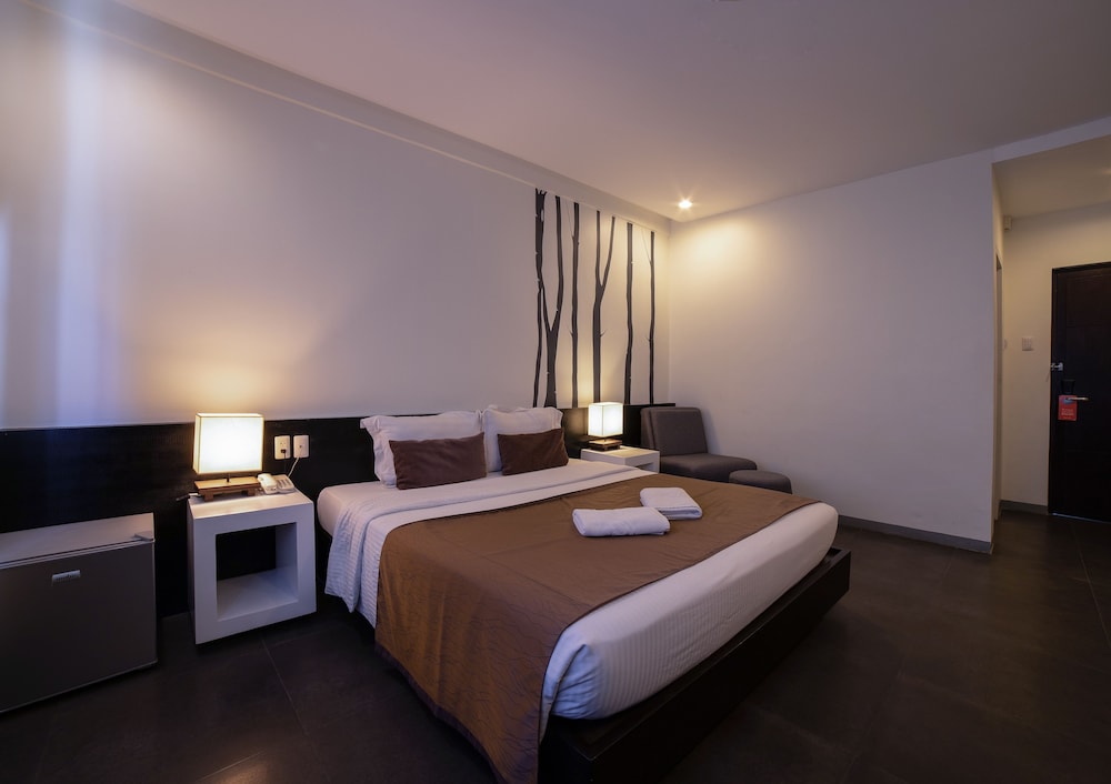 Deluxe Double or Twin Room photo 2