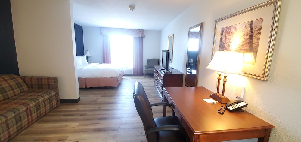 Single Room, 1 King Bed, Non Smoking photo 3