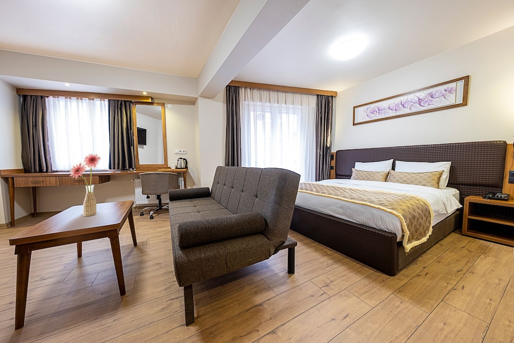 Deluxe Room - Photo 5