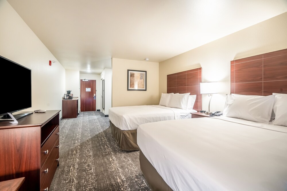 Studio Suite, Multiple Beds, Non Smoking (Audible/Visual) - Photo 4