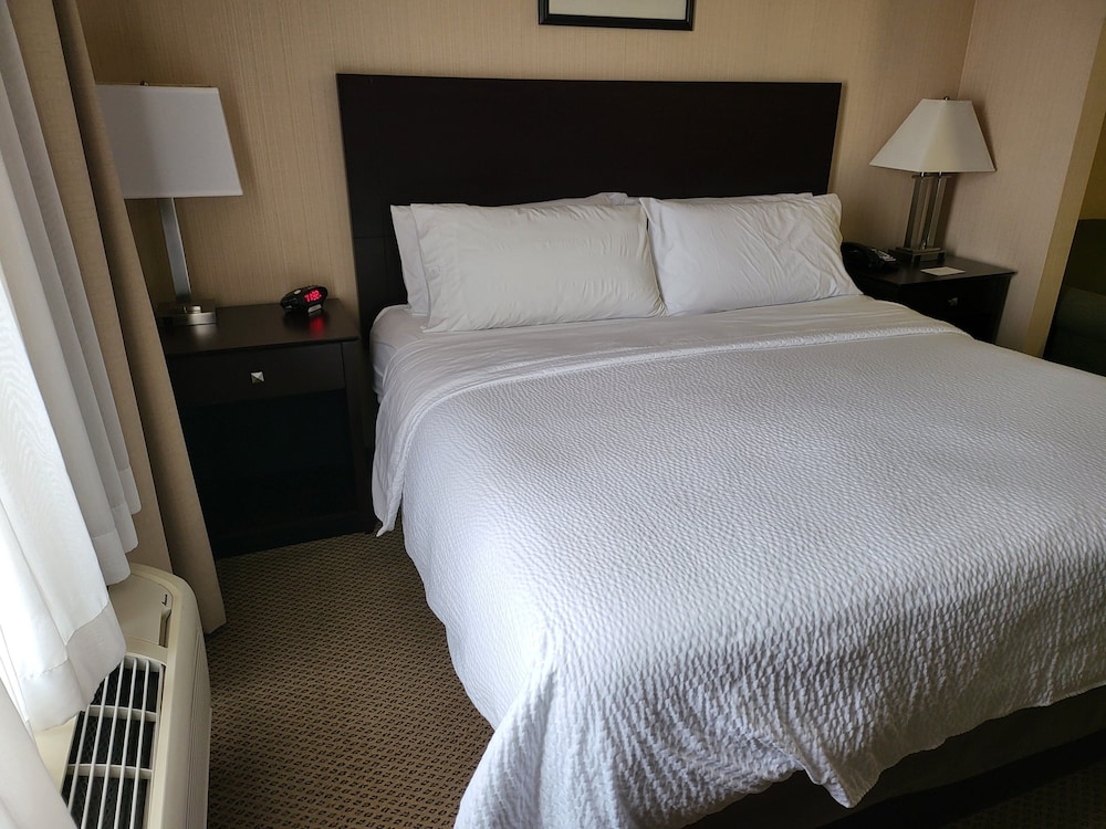 Suite, 1 King Bed photo 2