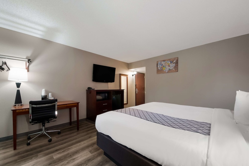 Standard Room, 1 King Bed, Accessible, Non Smoking - Photo 5