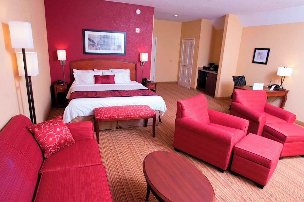 Room, 1 King Bed with Sofa bed, Fireplace