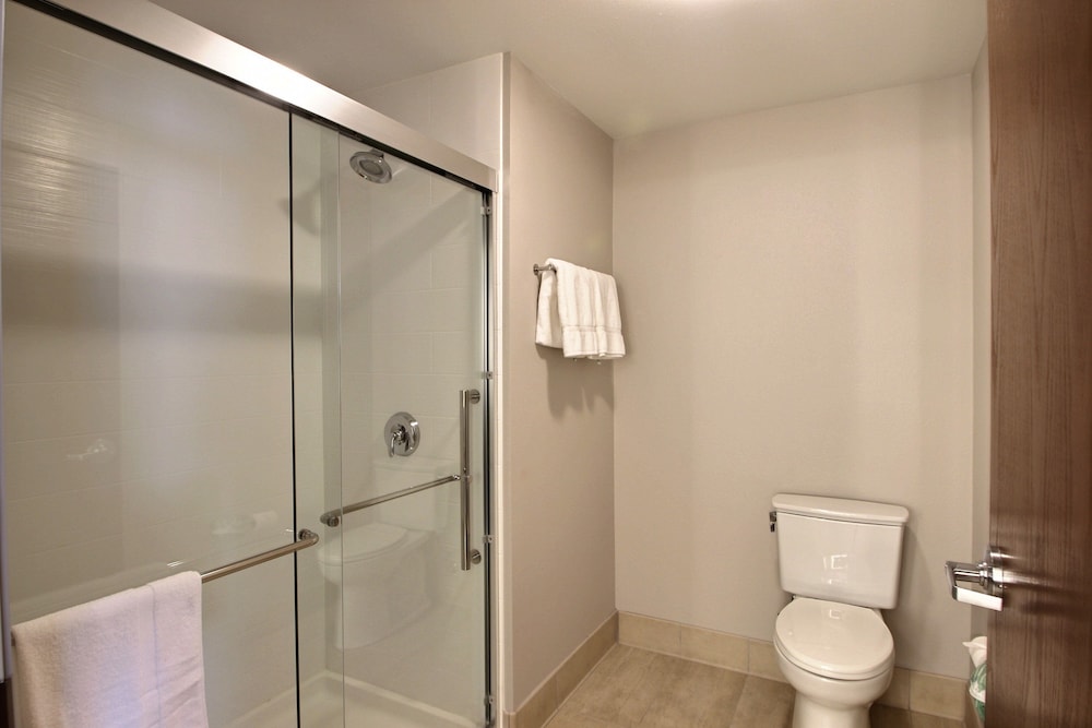 Suite, 1 King Bed (Extra Floor Space) photo 3